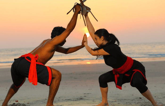 Martial arts silhouette